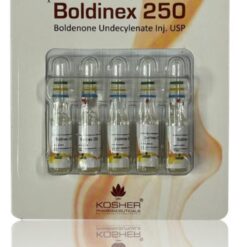 Boldinex 250 (Boldenone Undecylenate) - Kosher