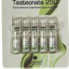 Testeonate 250 (Testosterone Enanthate) - Kosher