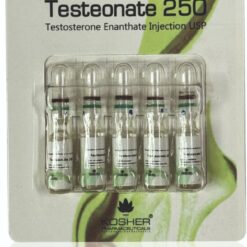 Testeonate 250 (Testosterone Enanthate) - Kosher