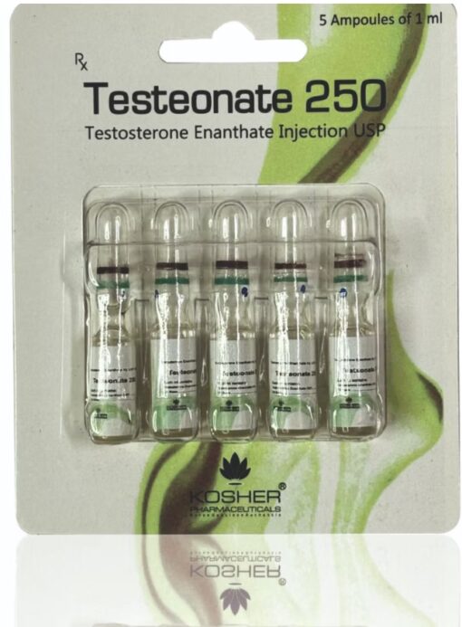 Testeonate 250 (Testosterone Enanthate) - Kosher