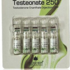 Testosterone Enanthate 250mg -Kosher